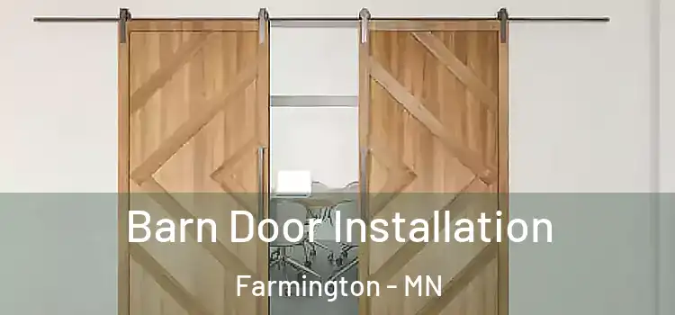 Barn Door Installation Farmington - MN