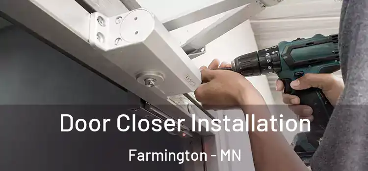 Door Closer Installation Farmington - MN