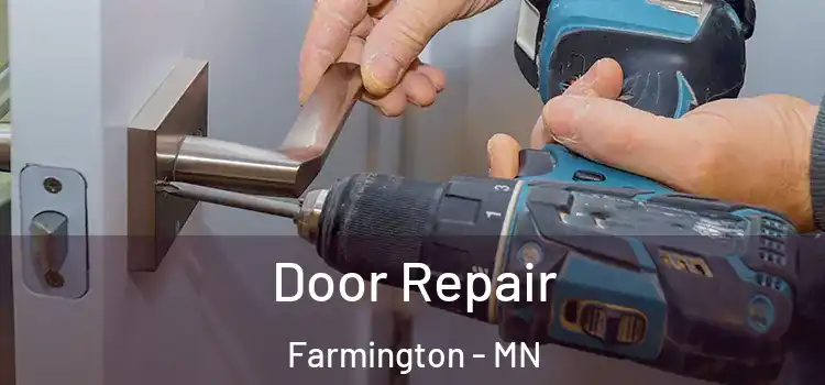 Door Repair Farmington - MN