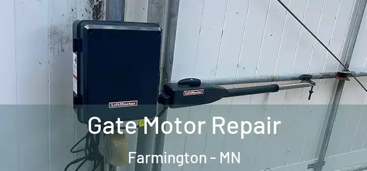 Gate Motor Repair Farmington - MN
