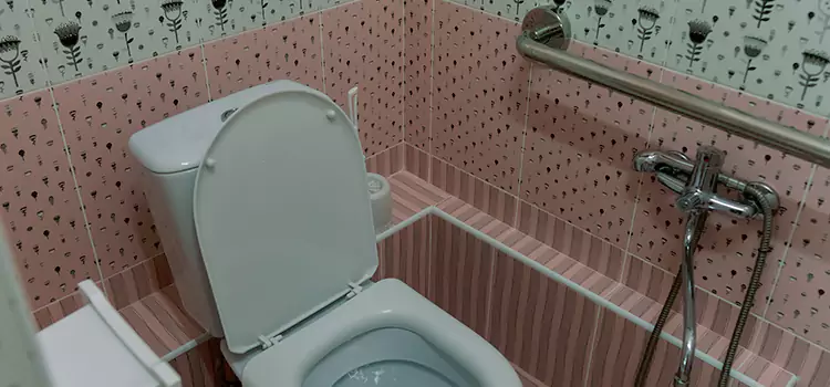 Meeting Diverse Needs With Accessible Restroom Solutions in Farmington, MN