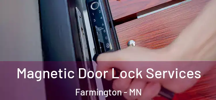 Magnetic Door Lock Services Farmington - MN