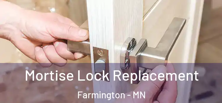 Mortise Lock Replacement Farmington - MN