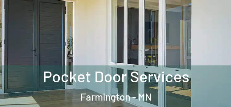 Pocket Door Services Farmington - MN