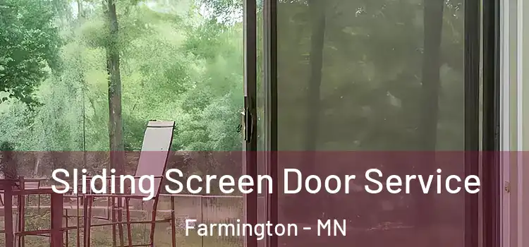 Sliding Screen Door Service Farmington - MN