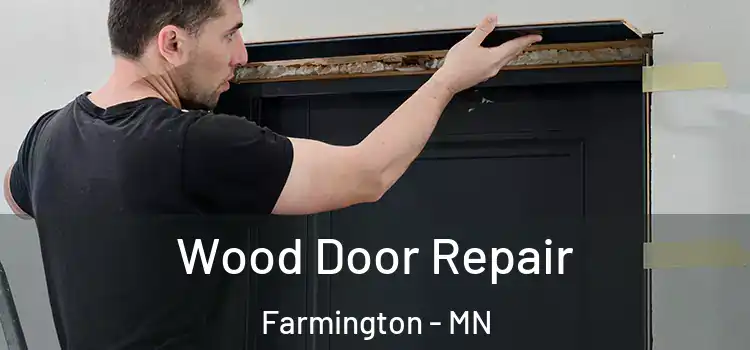 Wood Door Repair Farmington - MN